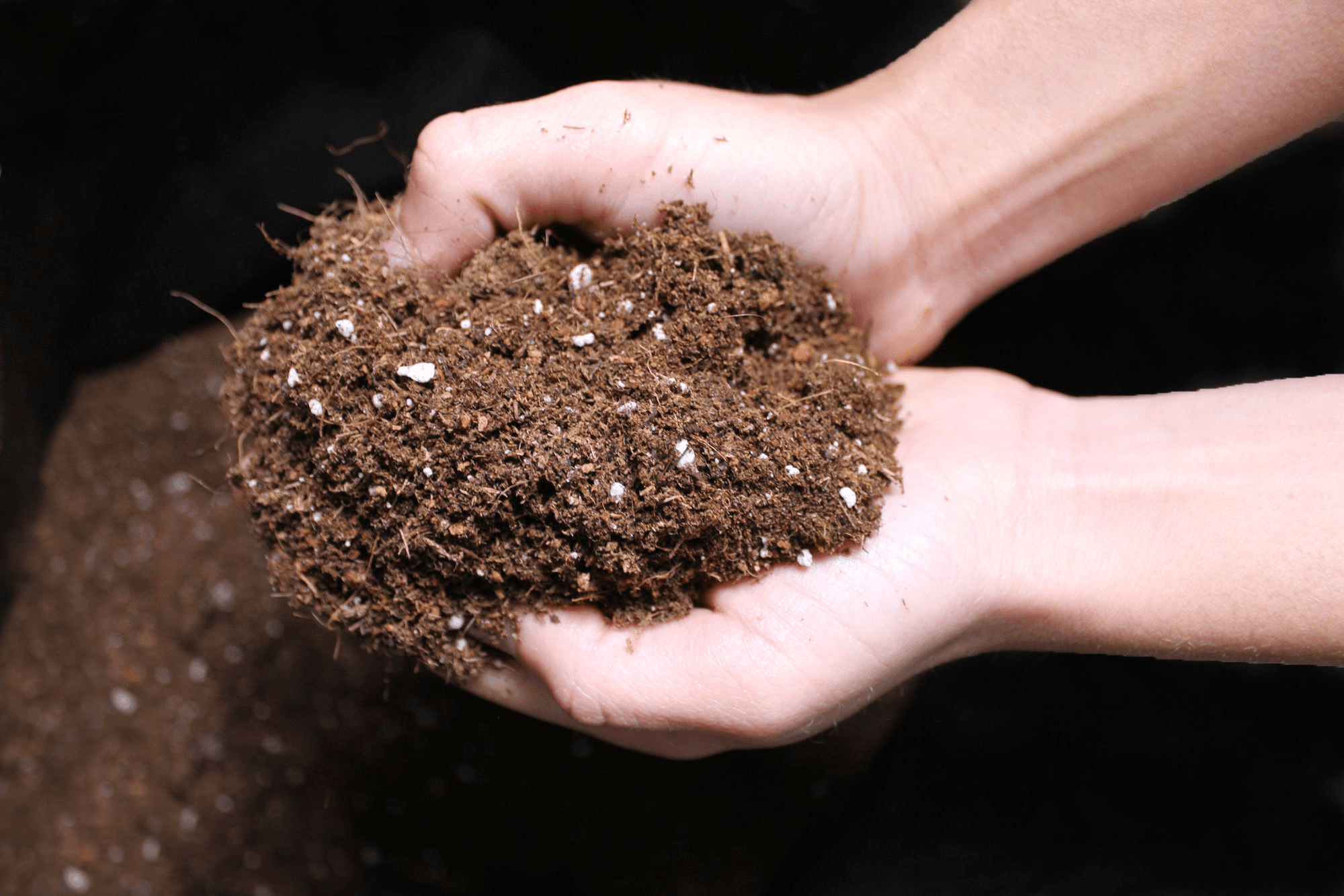 Nachhaltiges Wachstum